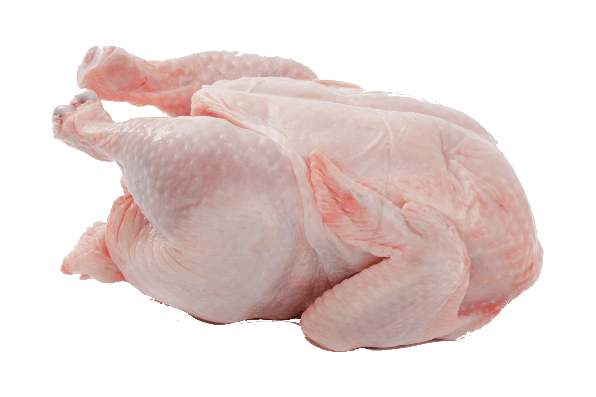 Chicken Meat image 1